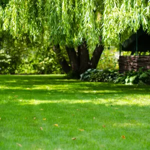 jogging-track-3-2.webp